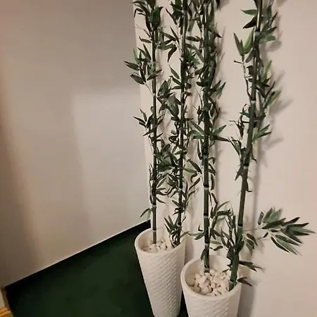 Pensjonat Lord Nowy Sad